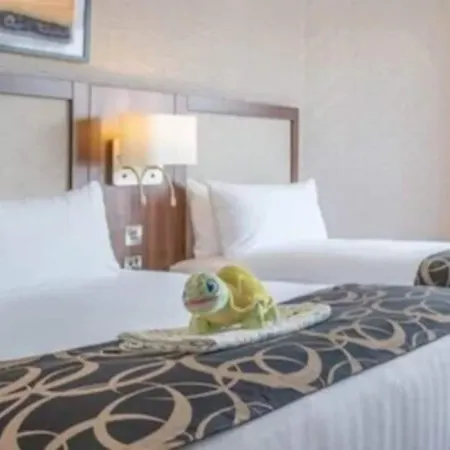 クレイトン ホテル